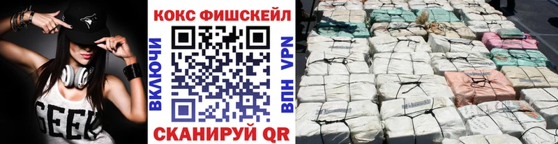 Cocaine FishScale  Купить  Барнаул 