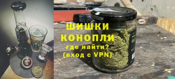 индика Семёнов